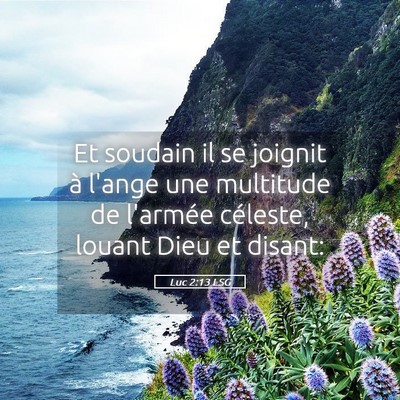 Picture 05 - Luc 2:13 LSG - Et soudain il se joignit à l'ange une multitude - Bible Verse Picture