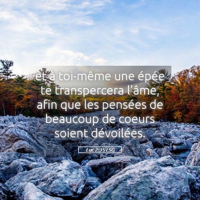 Picture 05 - Luc 2:35 LSG - et à toi-même une épée te transpercera - Bible Verse Picture