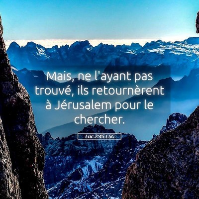 Picture 05 - Luc 2:45 LSG - Mais, ne l'ayant pas trouvé, ils retournèrent - Bible Verse Picture