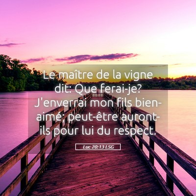 Picture 05 - Luc 20:13 LSG - Le maître de la vigne dit: Que ferai-je? - Bible Verse Picture