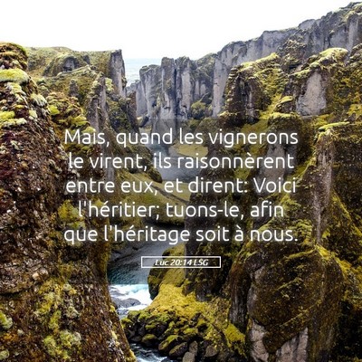 Picture 05 - Luc 20:14 LSG - Mais, quand les vignerons le virent, ils - Bible Verse Picture