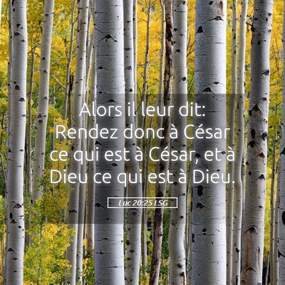 Picture 05 - Luc 20:25 LSG - Alors il leur dit: Rendez donc à César ce qui - Bible Verse Picture
