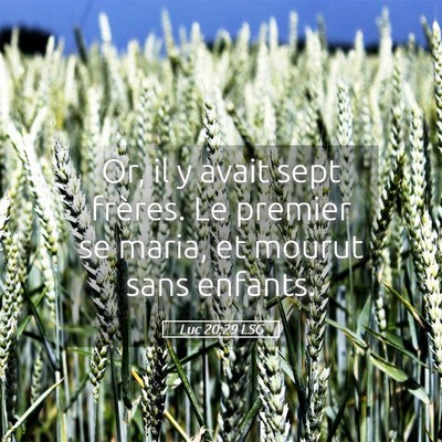 Picture 05 - Luc 20:29 LSG - Or, il y avait sept frères. Le premier se maria, - Bible Verse Picture