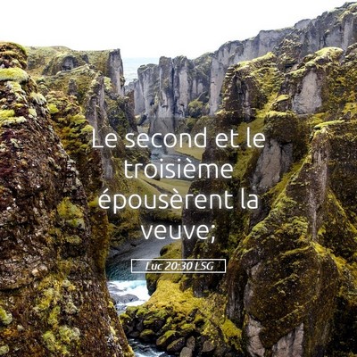Picture 05 - Luc 20:30 LSG - Le second et le troisième épousèrent la - Bible Verse Picture