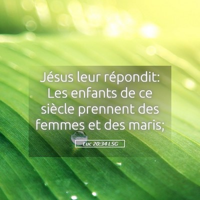 Picture 05 - Luc 20:34 LSG - Jésus leur répondit: Les enfants de ce siècle - Bible Verse Picture