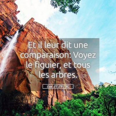 Picture 05 - Luc 21:29 LSG - Et il leur dit une comparaison: Voyez le figuier, - Bible Verse Picture