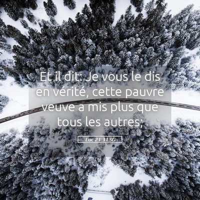 Picture 05 - Luc 21:3 LSG - Et il dit: Je vous le dis en vérité, cette - Bible Verse Picture