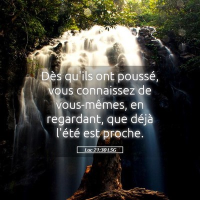 Picture 05 - Luc 21:30 LSG - Dès qu'ils ont poussé, vous connaissez de - Bible Verse Picture