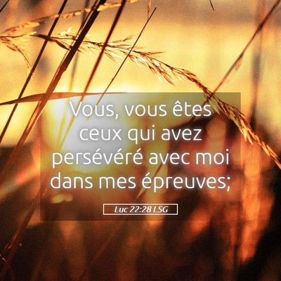 Picture 05 - Luc 22:28 LSG - Vous, vous êtes ceux qui avez persévéré avec - Bible Verse Picture