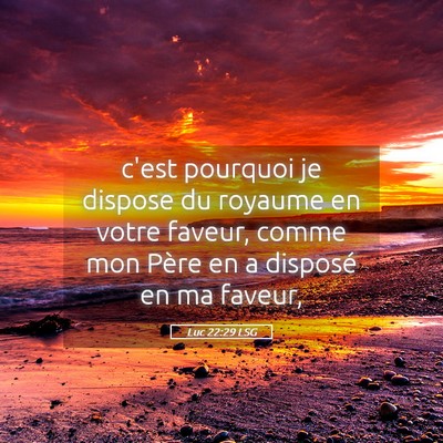 Picture 05 - Luc 22:29 LSG - c'est pourquoi je dispose du royaume en votre - Bible Verse Picture