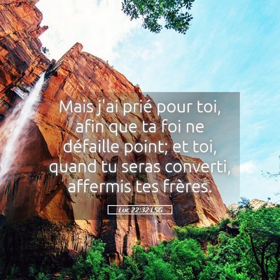 Picture 05 - Luc 22:32 LSG - Mais j'ai prié pour toi, afin que ta foi ne - Bible Verse Picture