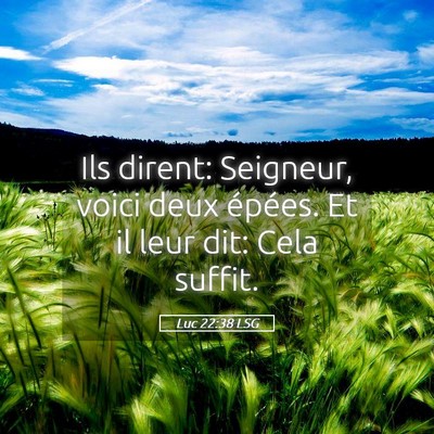 Picture 05 - Luc 22:38 LSG - Ils dirent: Seigneur, voici deux épées. Et il - Bible Verse Picture