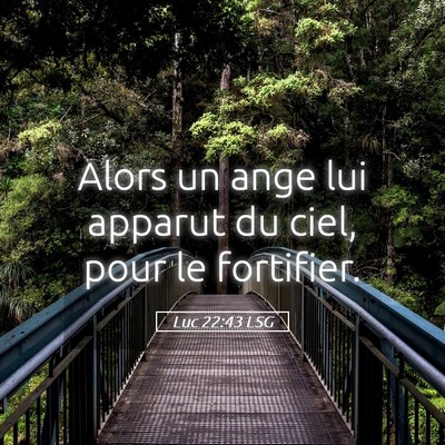 Picture 05 - Luc 22:43 LSG - Alors un ange lui apparut du ciel, pour le - Bible Verse Picture