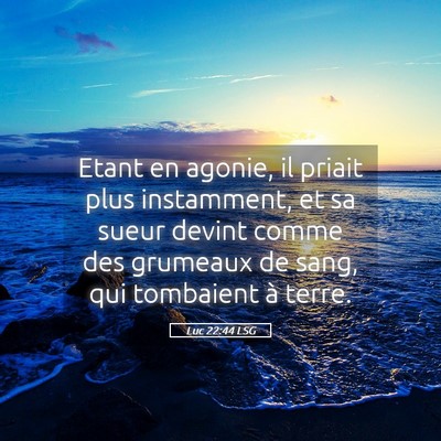 Picture 05 - Luc 22:44 LSG - Etant en agonie, il priait plus instamment, et sa - Bible Verse Picture