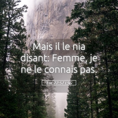 Picture 05 - Luc 22:57 LSG - Mais il le nia disant: Femme, je ne le connais - Bible Verse Picture