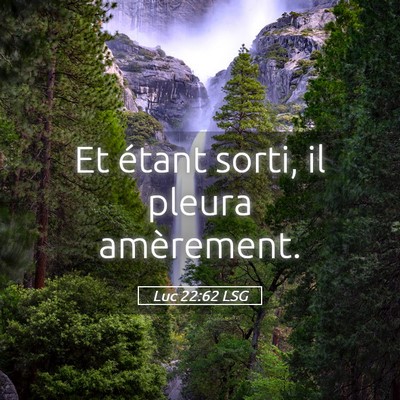 Picture 05 - Luc 22:62 LSG - Et étant sorti, il pleura - Bible Verse Picture