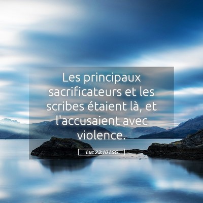 Picture 05 - Luc 23:10 LSG - Les principaux sacrificateurs et les scribes - Bible Verse Picture