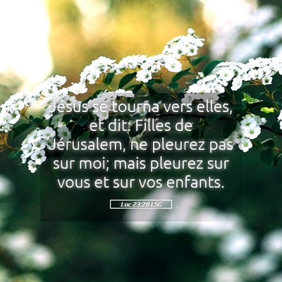 Picture 05 - Luc 23:28 LSG - Jésus se tourna vers elles, et dit: Filles de - Bible Verse Picture