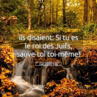 Picture 05 - Luc 23:37 LSG - ils disaient: Si tu es le roi des Juifs, - Bible Verse Picture