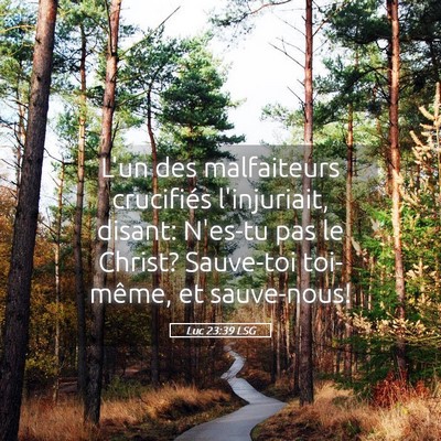 Picture 05 - Luc 23:39 LSG - L'un des malfaiteurs crucifiés l'injuriait, - Bible Verse Picture