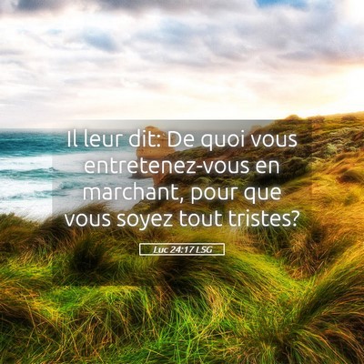Picture 05 - Luc 24:17 LSG - Il leur dit: De quoi vous entretenez-vous en - Bible Verse Picture