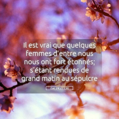 Picture 05 - Luc 24:22 LSG - Il est vrai que quelques femmes d'entre nous nous - Bible Verse Picture