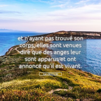 Picture 05 - Luc 24:23 LSG - et n'ayant pas trouvé son corps, elles sont - Bible Verse Picture