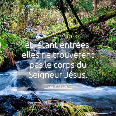 Picture 05 - Luc 24:3 LSG - et, étant entrées, elles ne trouvèrent pas le - Bible Verse Picture