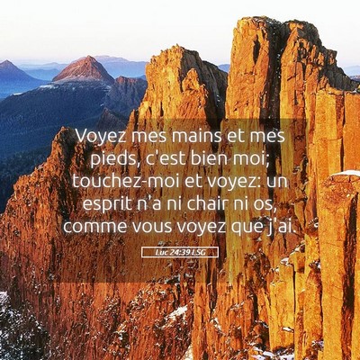 Picture 05 - Luc 24:39 LSG - Voyez mes mains et mes pieds, c'est bien moi; - Bible Verse Picture