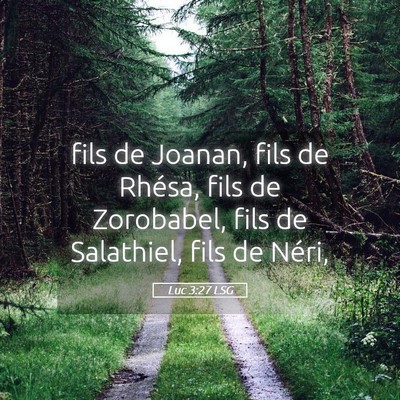 Picture 05 - Luc 3:27 LSG - fils de Joanan, fils de Rhésa, fils de - Bible Verse Picture