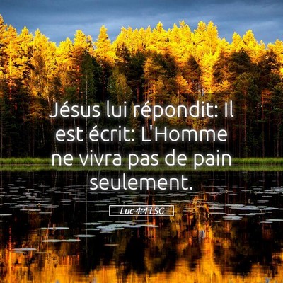 Picture 05 - Luc 4:4 LSG - Jésus lui répondit: Il est écrit: L'Homme ne - Bible Verse Picture