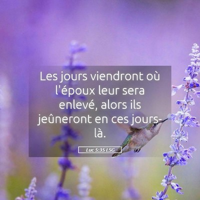 Picture 05 - Luc 5:35 LSG - Les jours viendront où l'époux leur sera - Bible Verse Picture