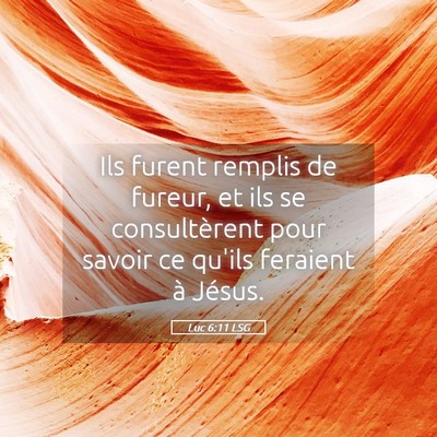 Picture 05 - Luc 6:11 LSG - Ils furent remplis de fureur, et ils se - Bible Verse Picture