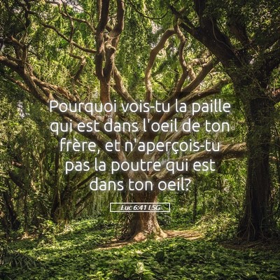 Picture 05 - Luc 6:41 LSG - Pourquoi vois-tu la paille qui est dans l'oeil de - Bible Verse Picture