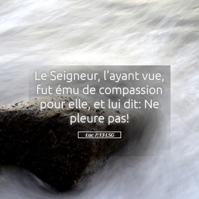 Picture 05 - Luc 7:13 LSG - Le Seigneur, l'ayant vue, fut ému de compassion - Bible Verse Picture