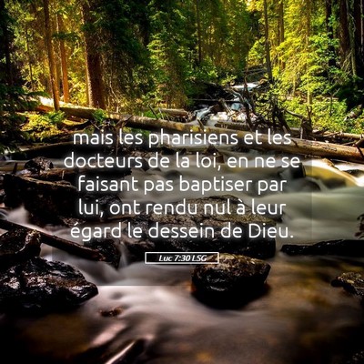 Picture 05 - Luc 7:30 LSG - mais les pharisiens et les docteurs de la loi, en - Bible Verse Picture