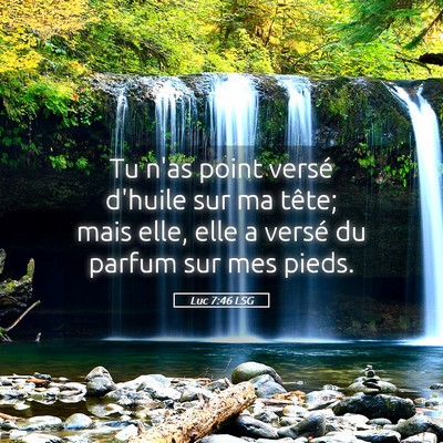Picture 05 - Luc 7:46 LSG - Tu n'as point versé d'huile sur ma tête; mais - Bible Verse Picture