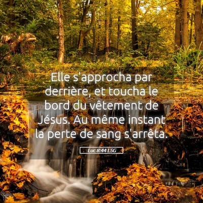 Picture 05 - Luc 8:44 LSG - Elle s'approcha par derrière, et toucha le bord - Bible Verse Picture