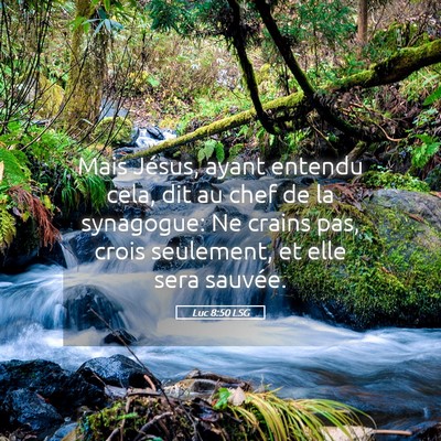 Picture 05 - Luc 8:50 LSG - Mais Jésus, ayant entendu cela, dit au chef de - Bible Verse Picture