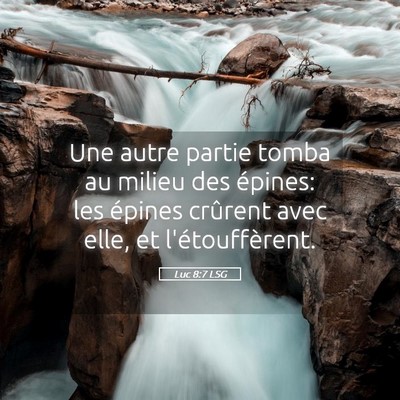 Picture 05 - Luc 8:7 LSG - Une autre partie tomba au milieu des épines: les - Bible Verse Picture