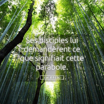 Picture 05 - Luc 8:9 LSG - Ses disciples lui demandèrent ce que signifiait - Bible Verse Picture