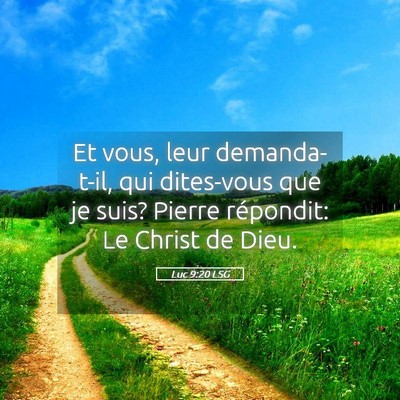 Picture 05 - Luc 9:20 LSG - Et vous, leur demanda-t-il, qui dites-vous que je - Bible Verse Picture