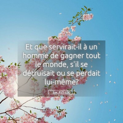 Picture 05 - Luc 9:25 LSG - Et que servirait-il à un homme de gagner tout le - Bible Verse Picture