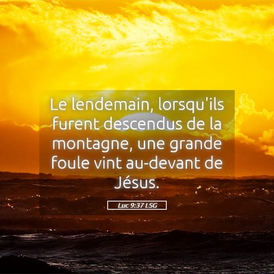 Picture 05 - Luc 9:37 LSG - Le lendemain, lorsqu'ils furent descendus de la - Bible Verse Picture
