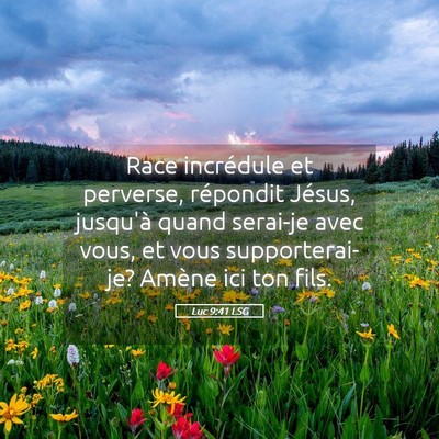 Picture 05 - Luc 9:41 LSG - Race incrédule et perverse, répondit Jésus, - Bible Verse Picture