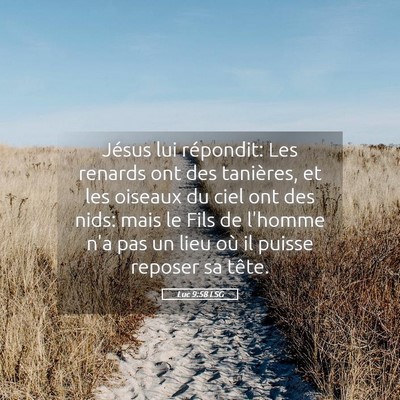 Picture 05 - Luc 9:58 LSG - Jésus lui répondit: Les renards ont des - Bible Verse Picture