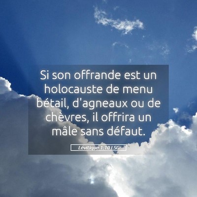 Picture 05 - Lévitique 1:10 LSG - Si son offrande est un holocauste de menu - Bible Verse Picture