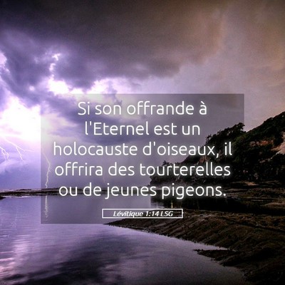Picture 05 - Lévitique 1:14 LSG - Si son offrande à l'Eternel est un holocauste - Bible Verse Picture