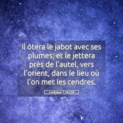 Picture 05 - Lévitique 1:16 LSG - Il ôtera le jabot avec ses plumes, et le jettera - Bible Verse Picture