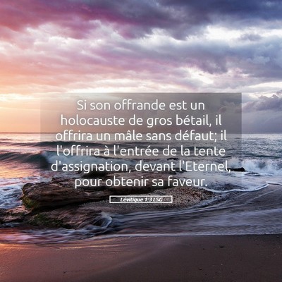 Picture 05 - Lévitique 1:3 LSG - Si son offrande est un holocauste de gros - Bible Verse Picture